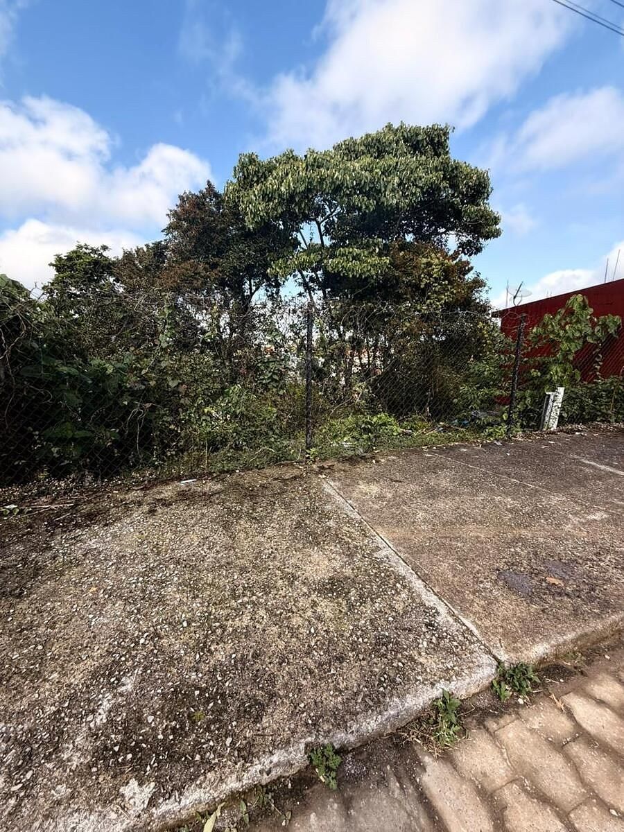 Terreno en Xicotepec de Juárez Centro, Xicotepec, foto 3 de 13