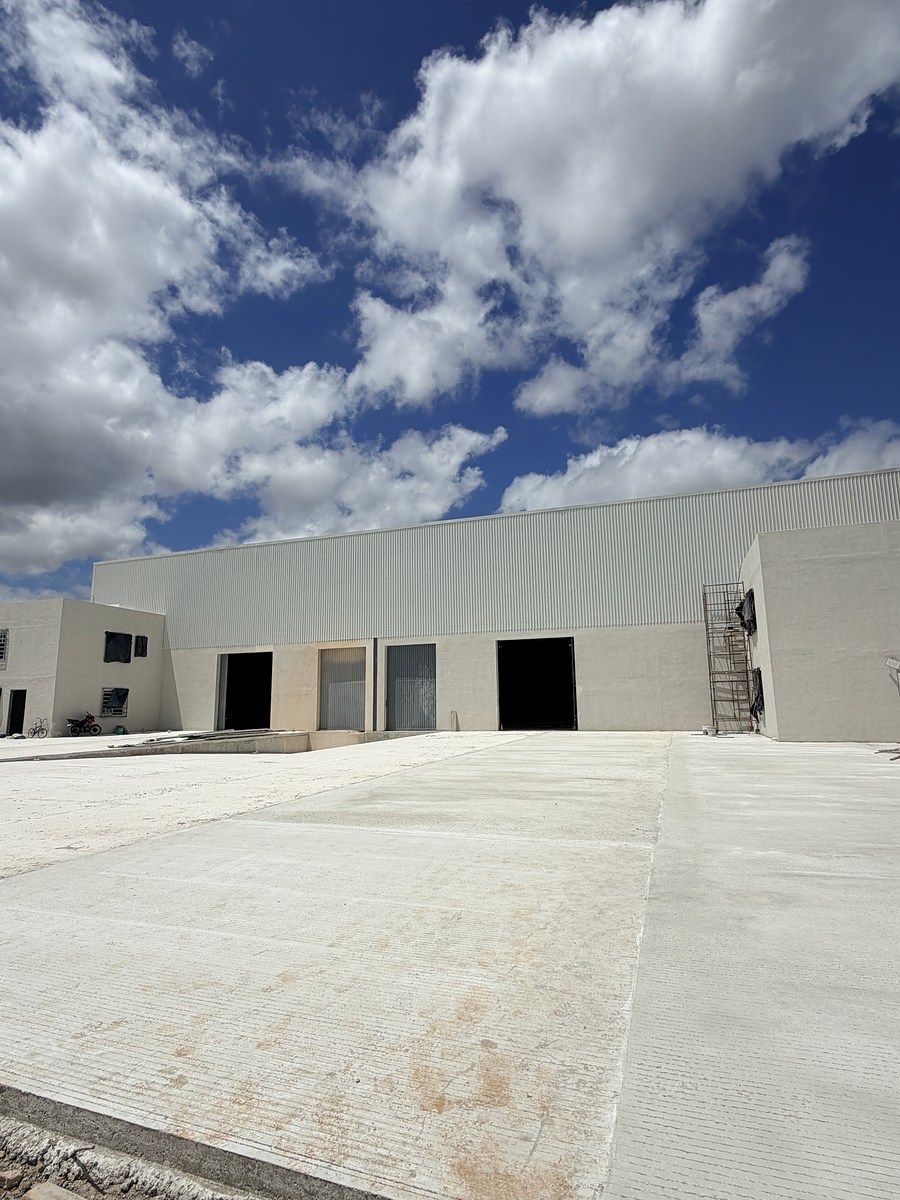 5 de 17