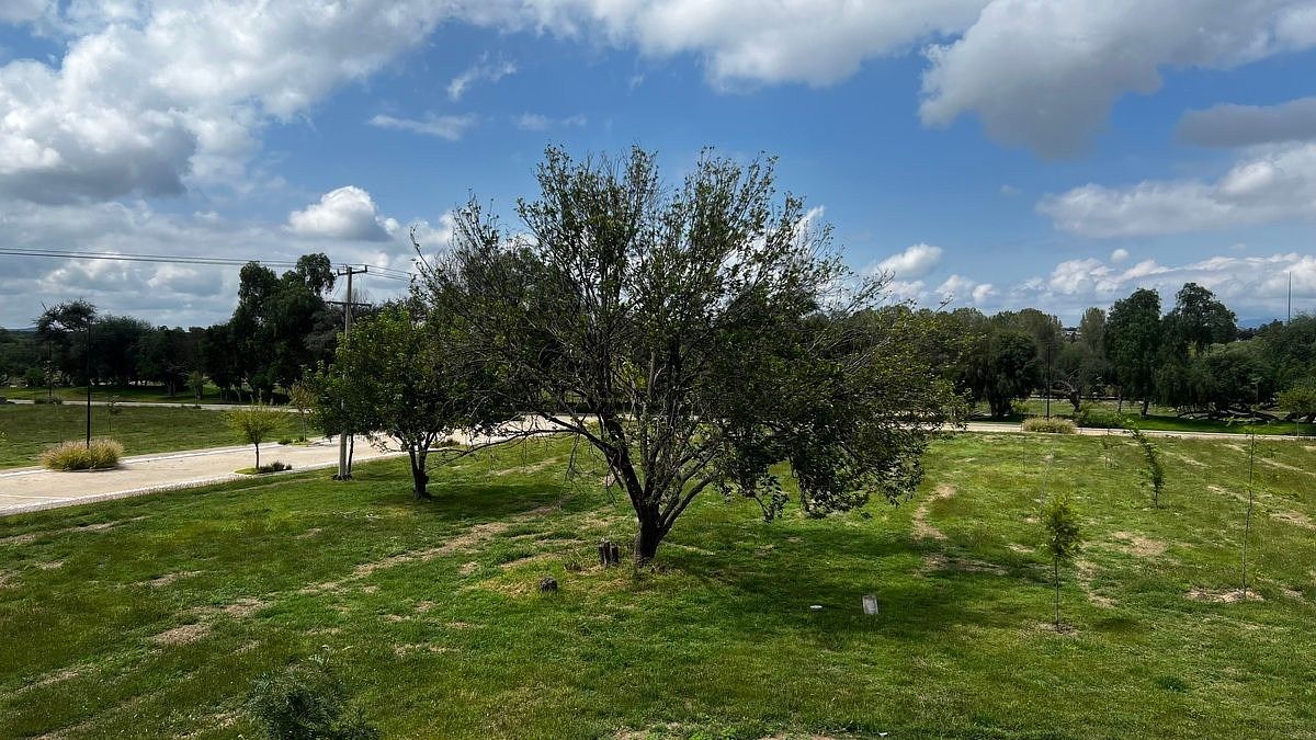 Venta de terreno Campestre en condominio - foto 4