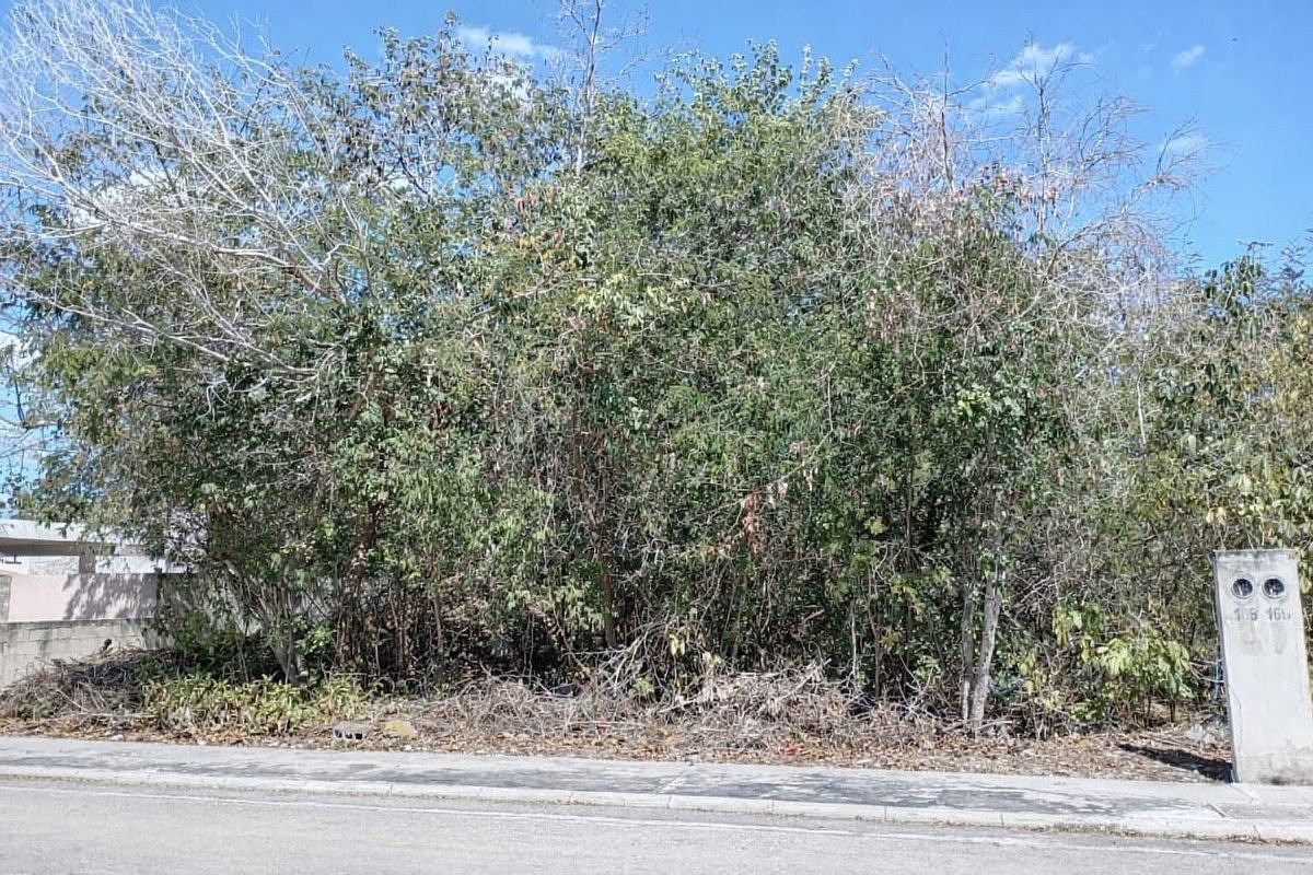Terreno en Venta en La Rejoyada, Mérida Yucatán - foto 5
