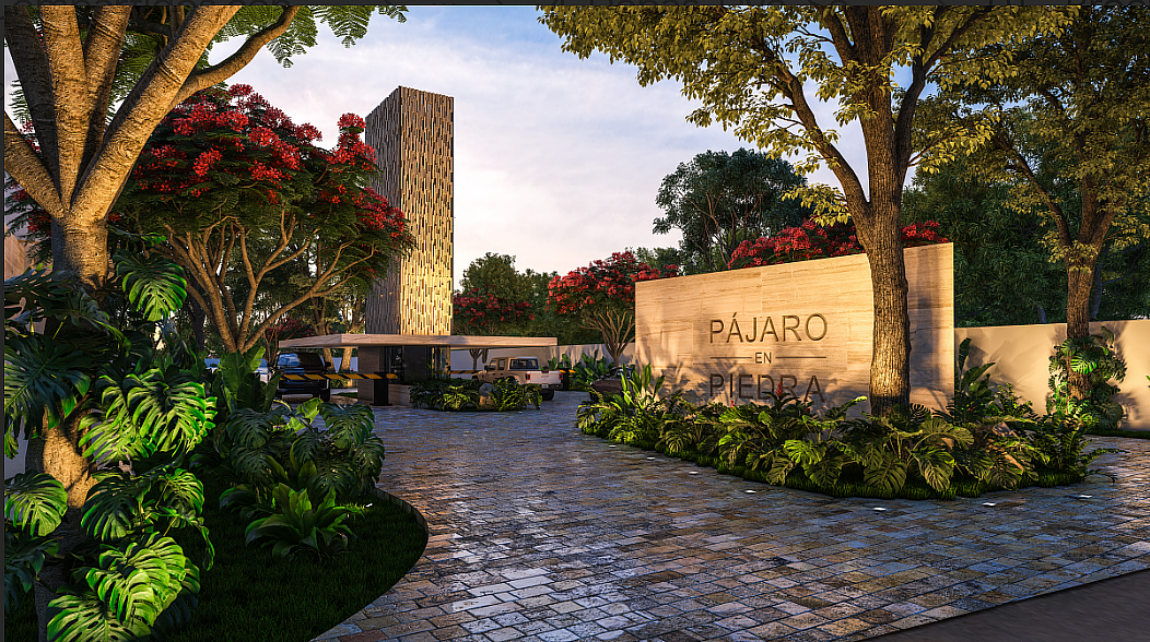 6 de 10: Acceso Principal