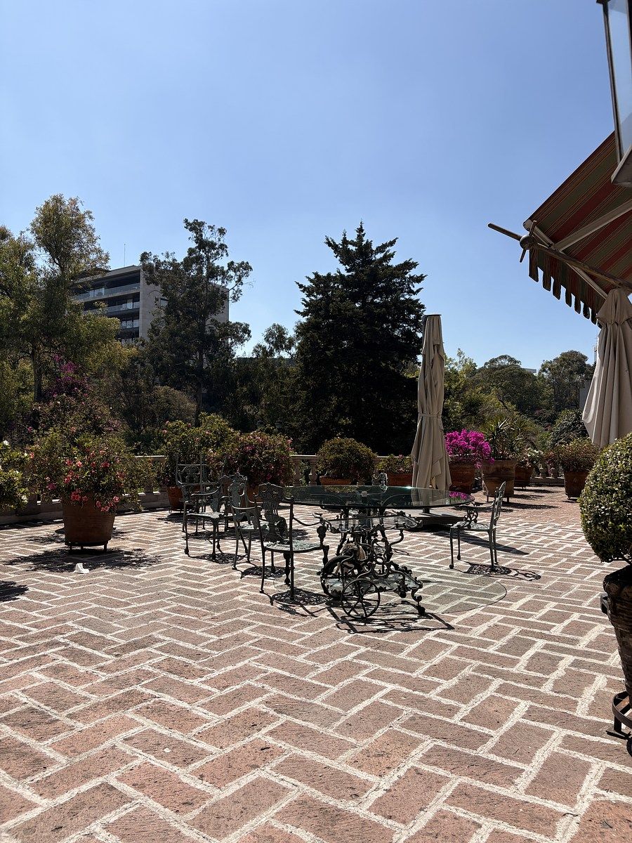 21 of 28: Terraza principal