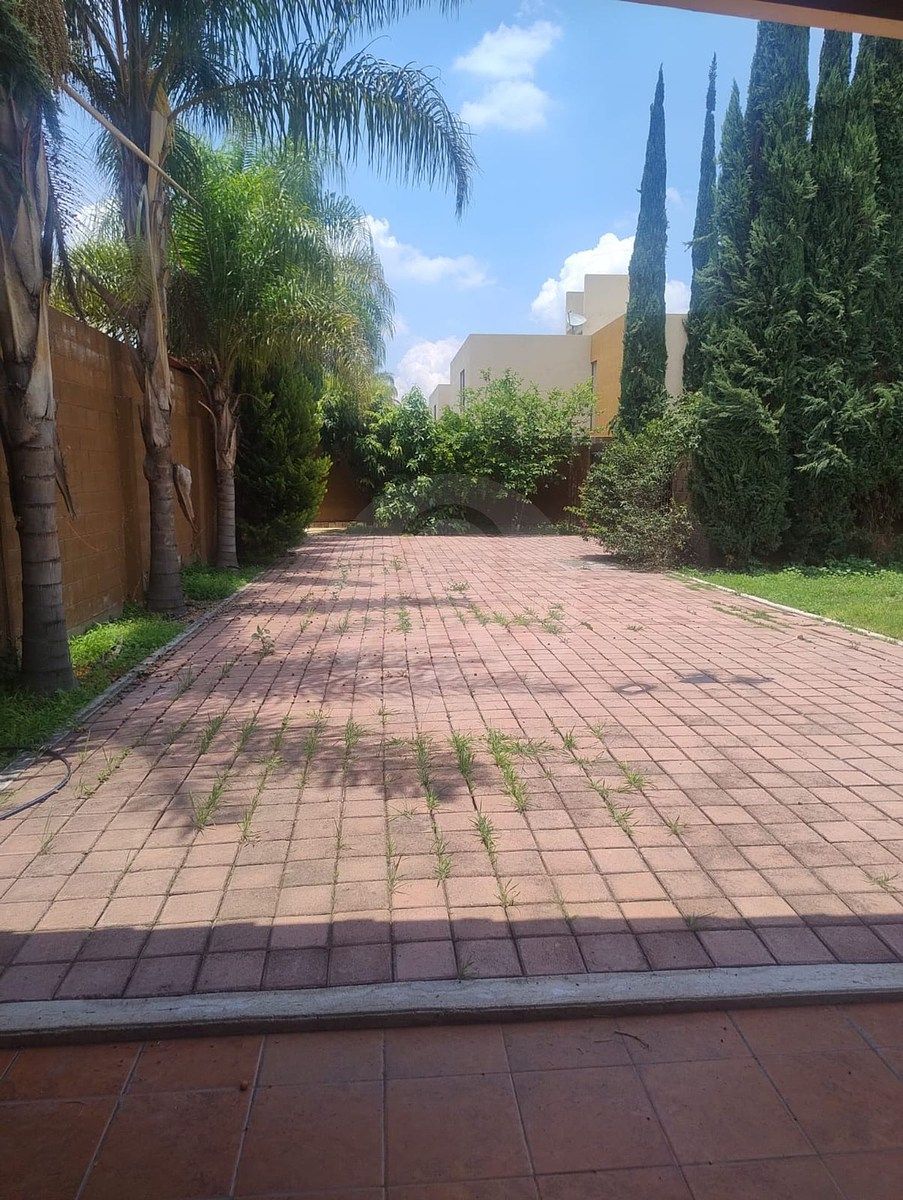 6 de 34