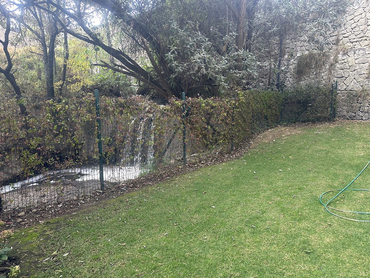 7 of 13: Jardín hacia el rio