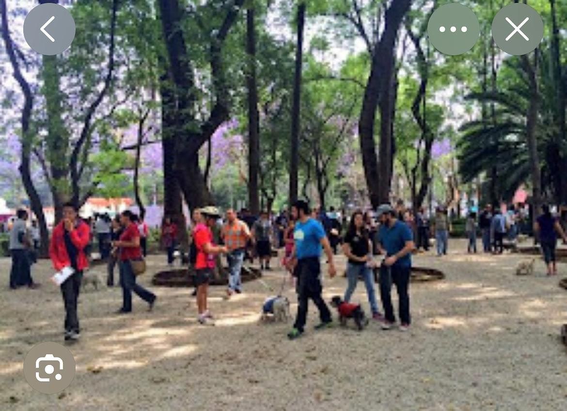 6 de 10: PARQUE LAS AMERICAS