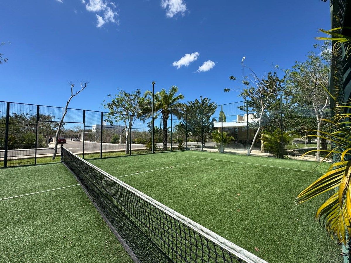 32 de 33: Cancha de Padel