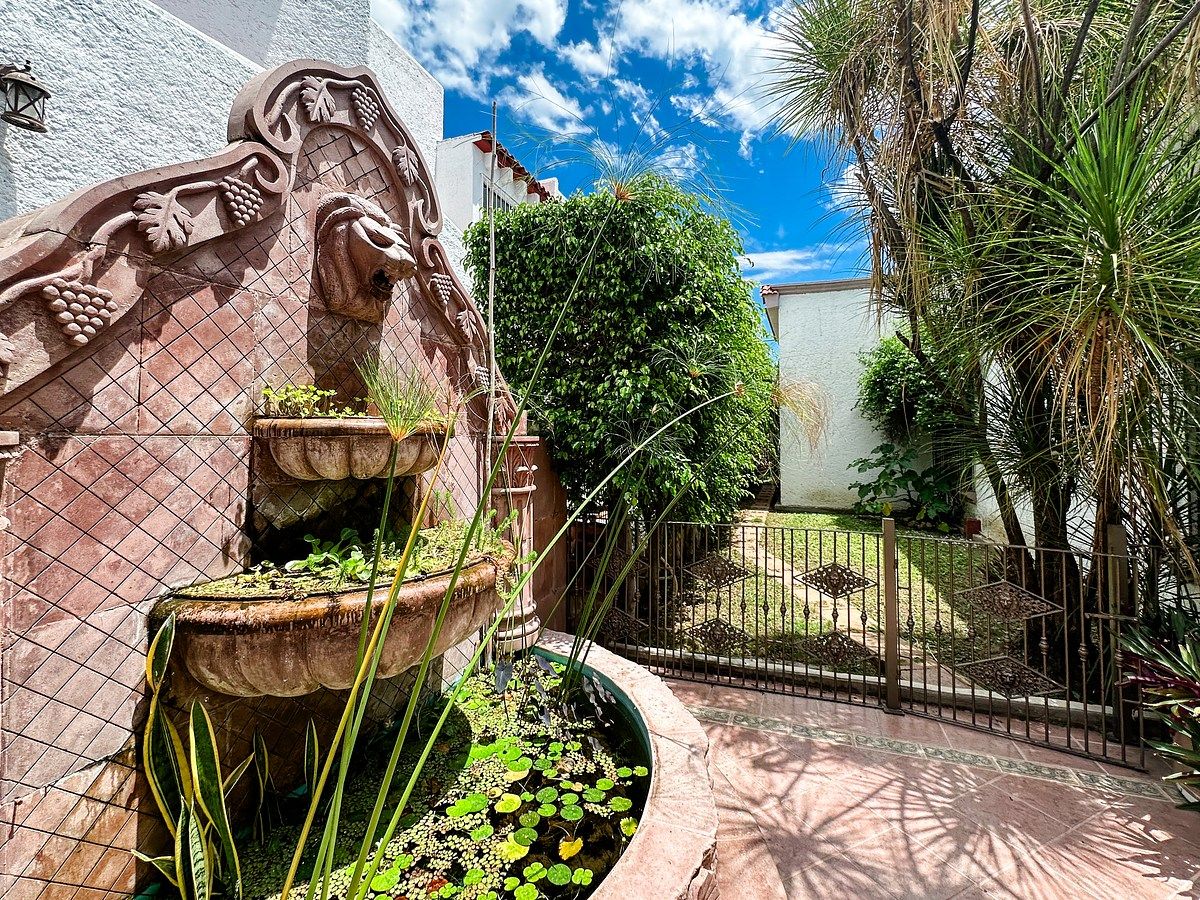 9 of 20: Acceso lateral independiente al jardín trasero