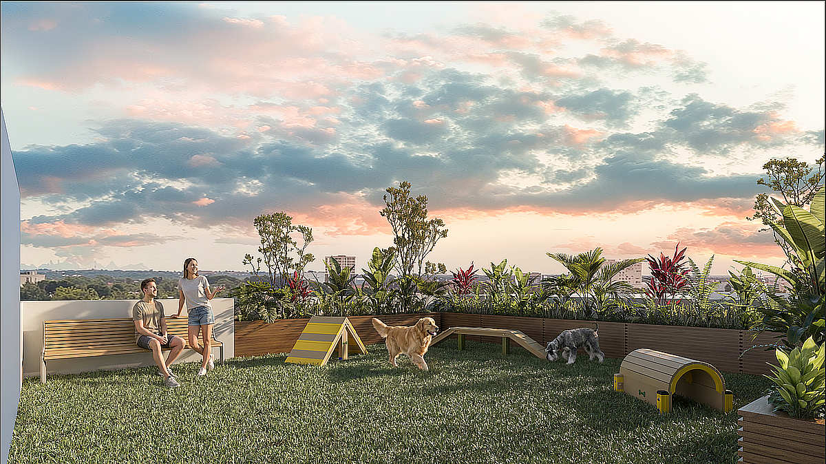 10 de 11: Área de Mascotas