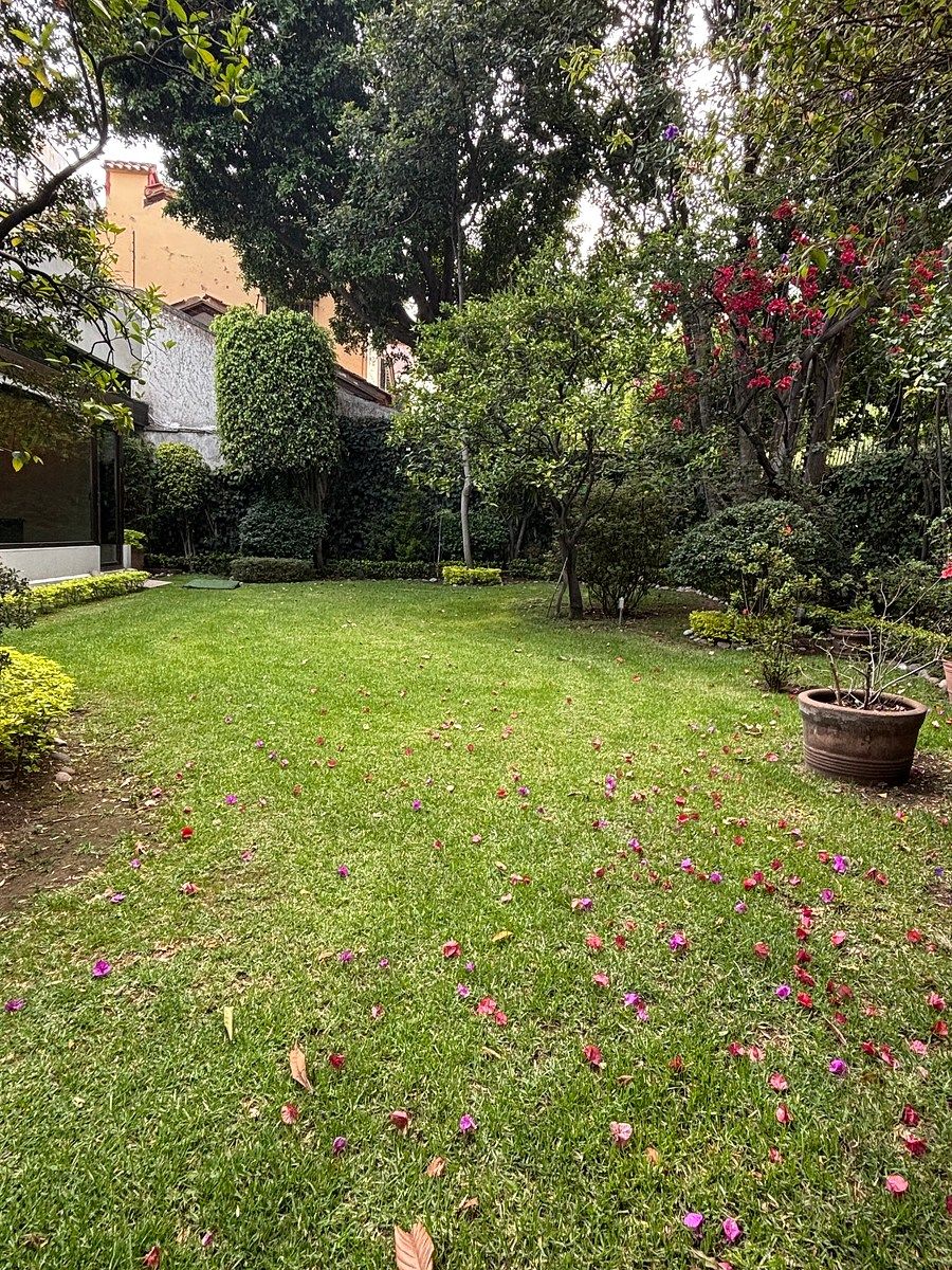 24 de 25