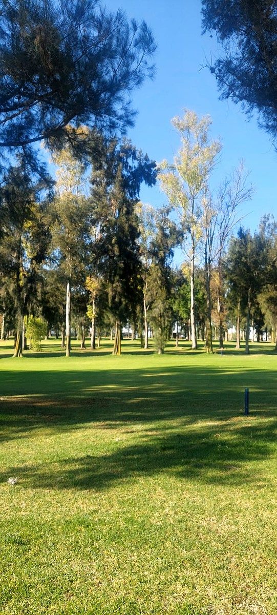 Lote em Residencial Malanquin la Mesa, San Miguel de Allende, foto 3 de 6