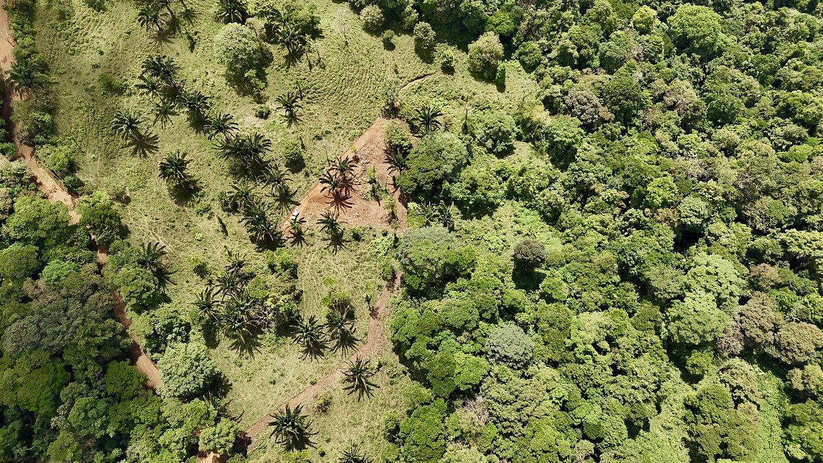 9 of 16
