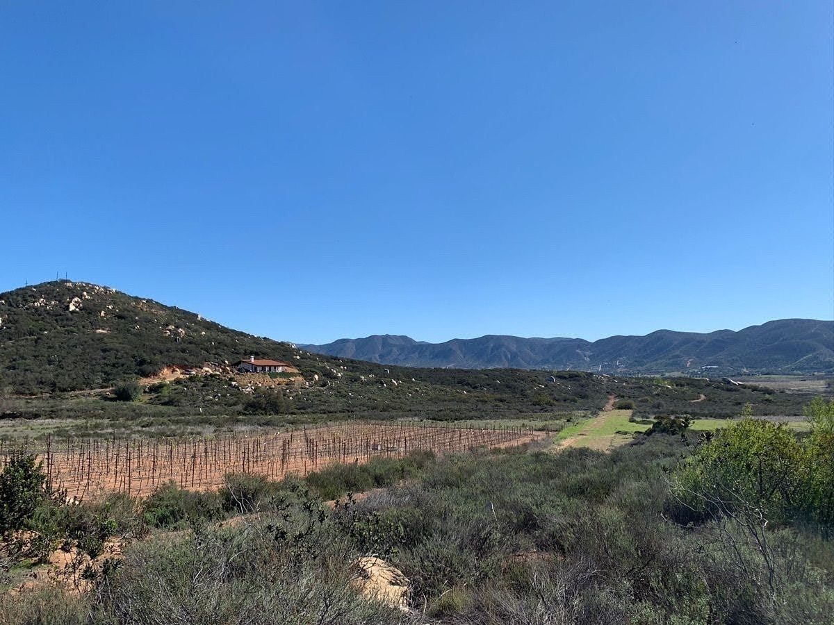 Venta de Terreno de 2,500 M2 en Valle de Guadalupe, Ensenada, B.C.