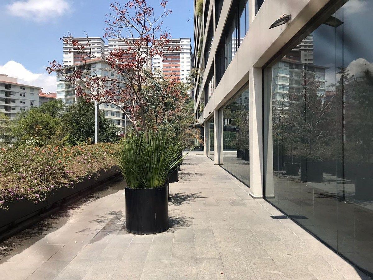 Departamento en Santa Fe Cuajimalpa, Cuajimalpa de Morelos, foto 39 de 50