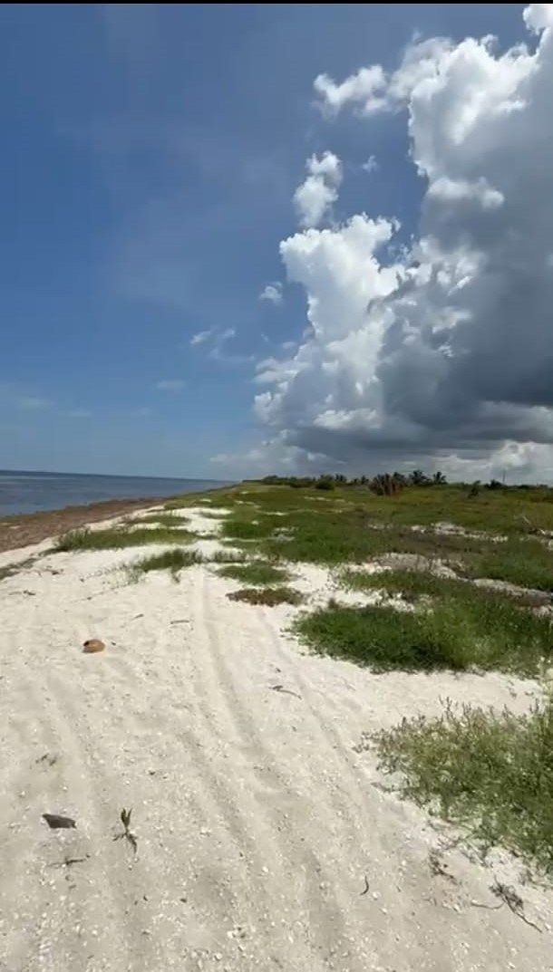 3 de 9: Terreno Frente al Mar