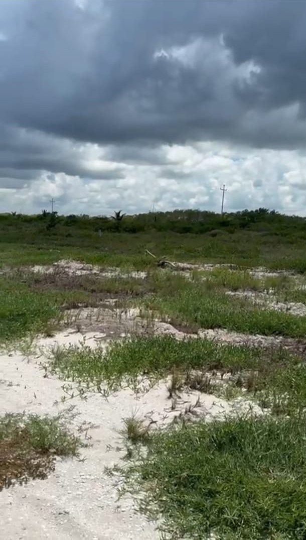 4 de 9: Terreno Frente al Mar