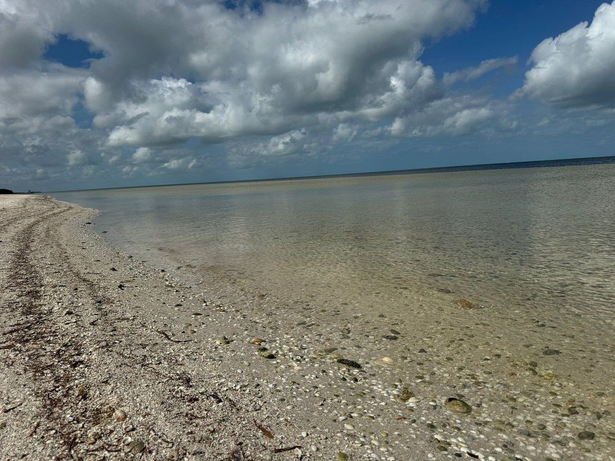 7 de 9: Frente al Mar
