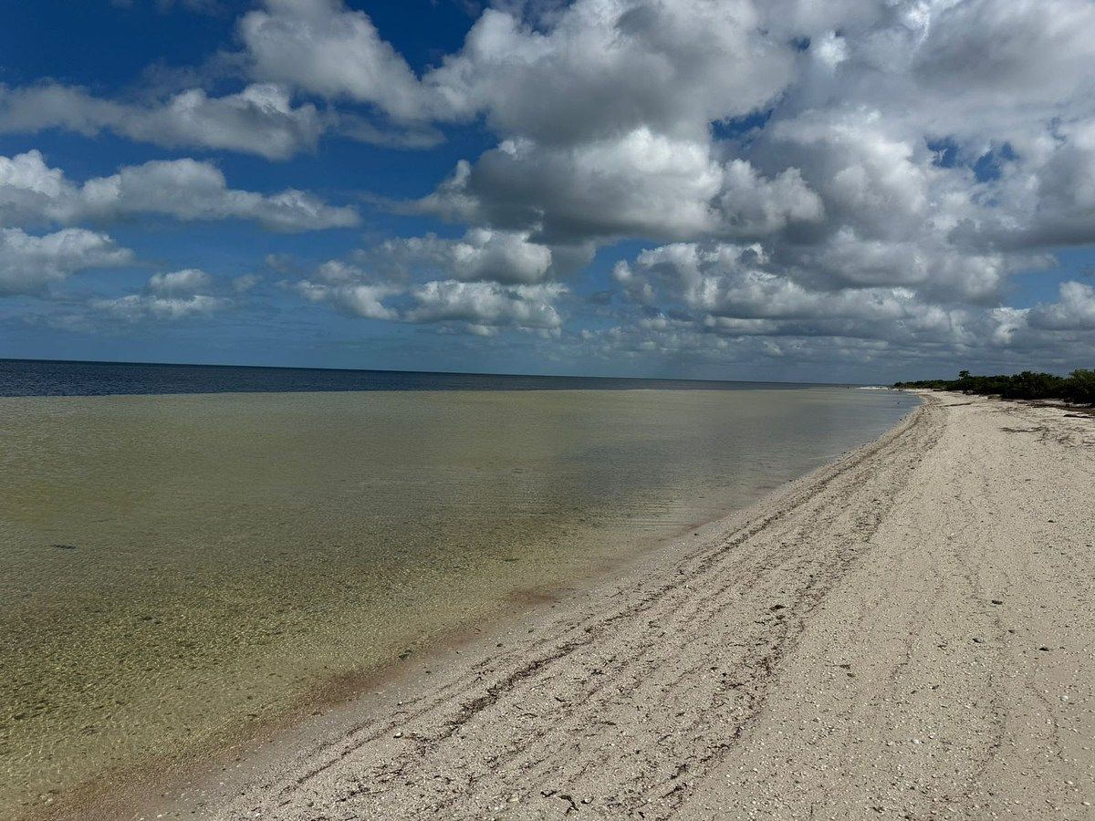 8 de 9: Frente al Mar