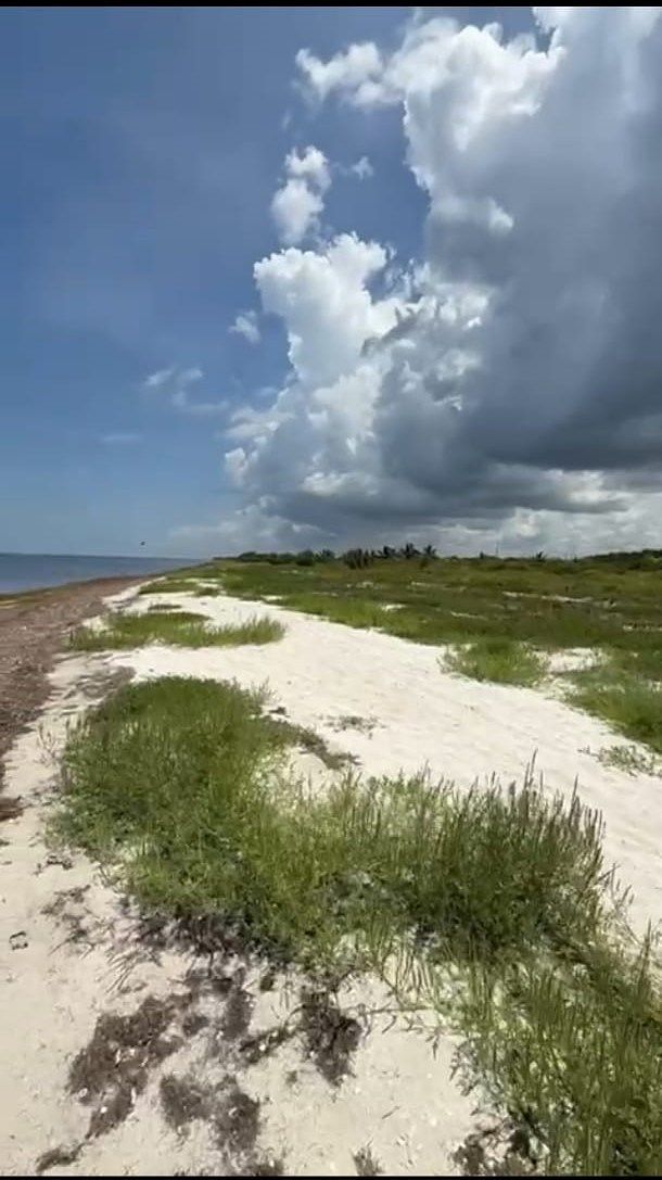 5 de 9: Terreno Frente al Mar