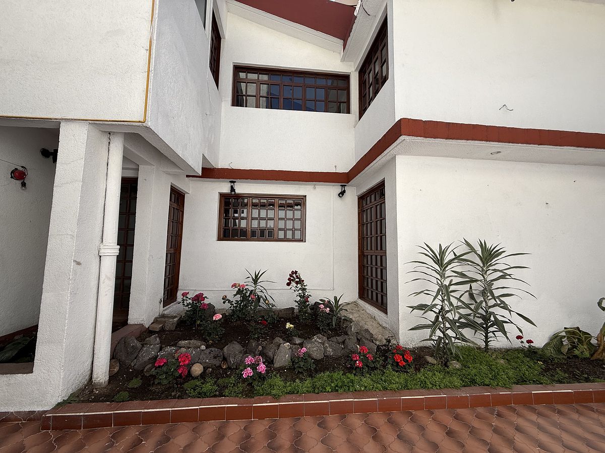 1 de 37: Jardín interno