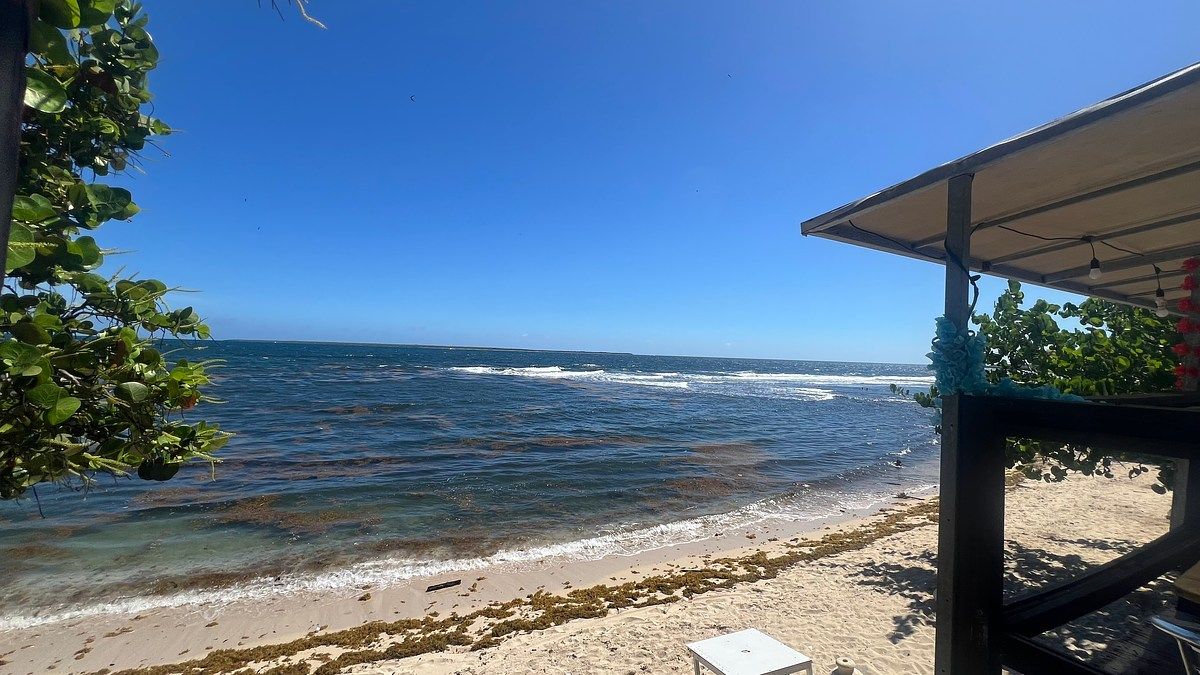 Playa Caleta, foto 13 de 48