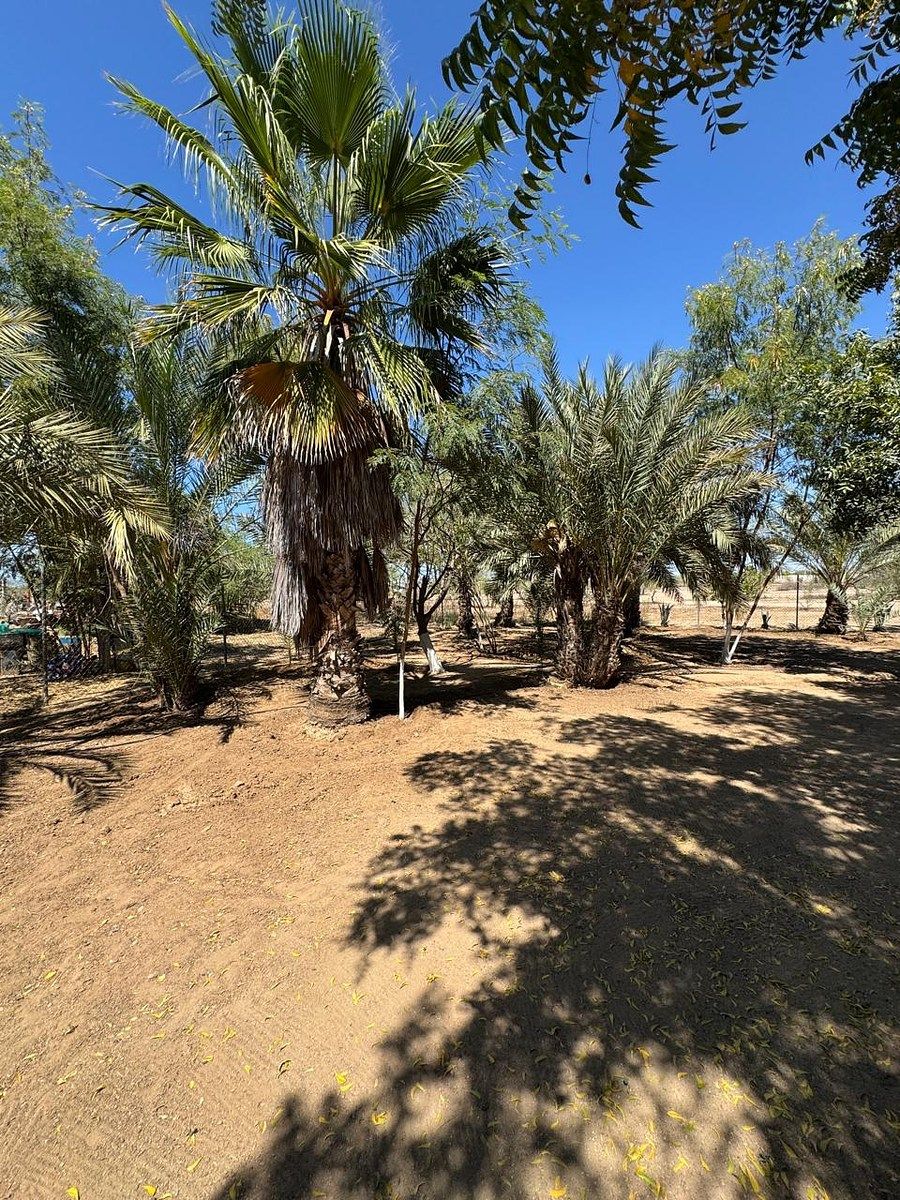 19 of 21: VEGETACION