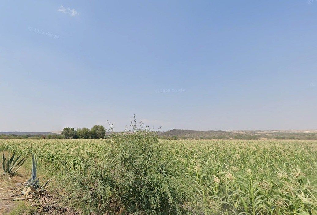 7 de 8: Fotos de calle