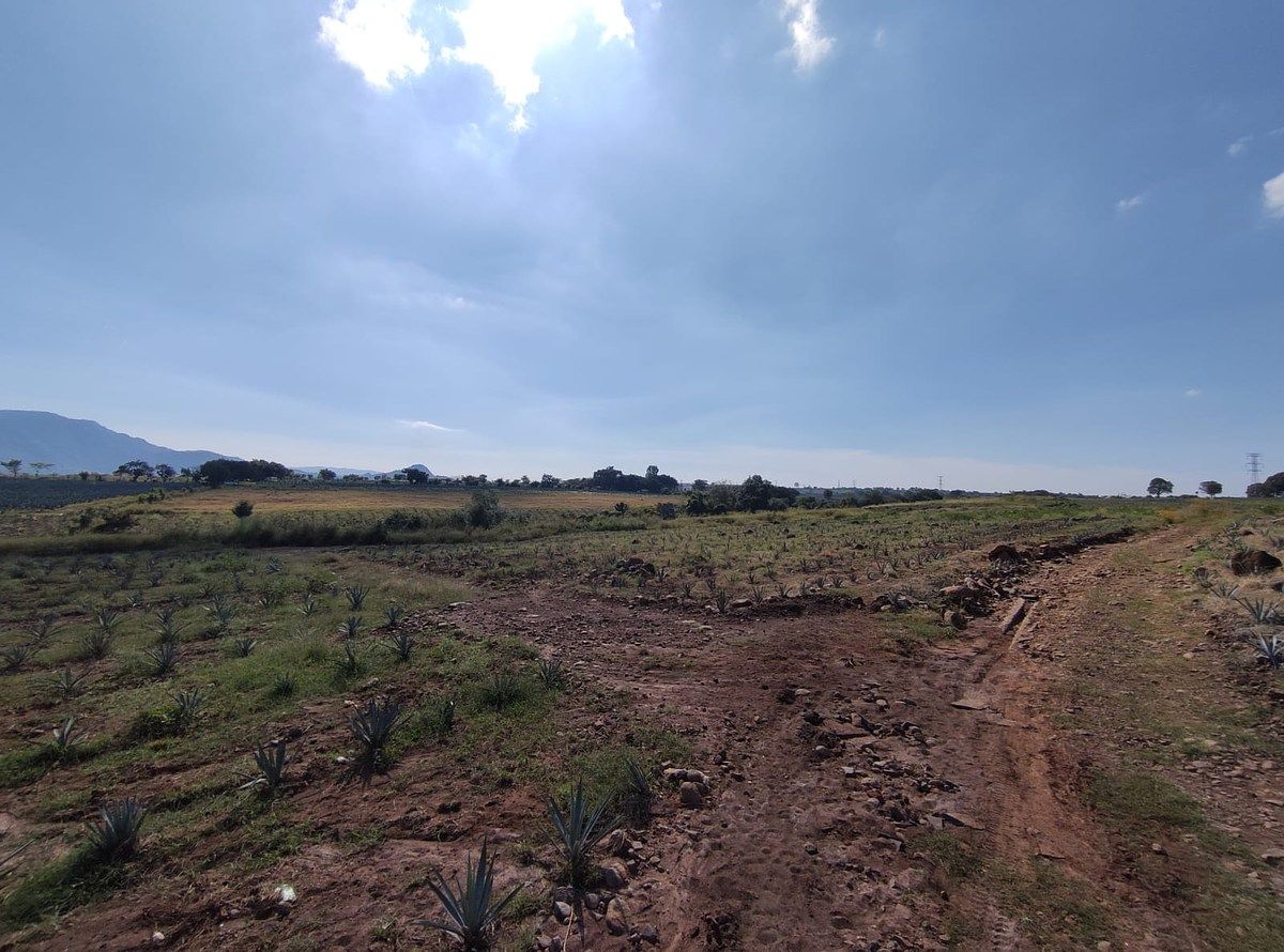 LAND FOR SALE in Amatitan, next to Los Gallos Garden - foto 2