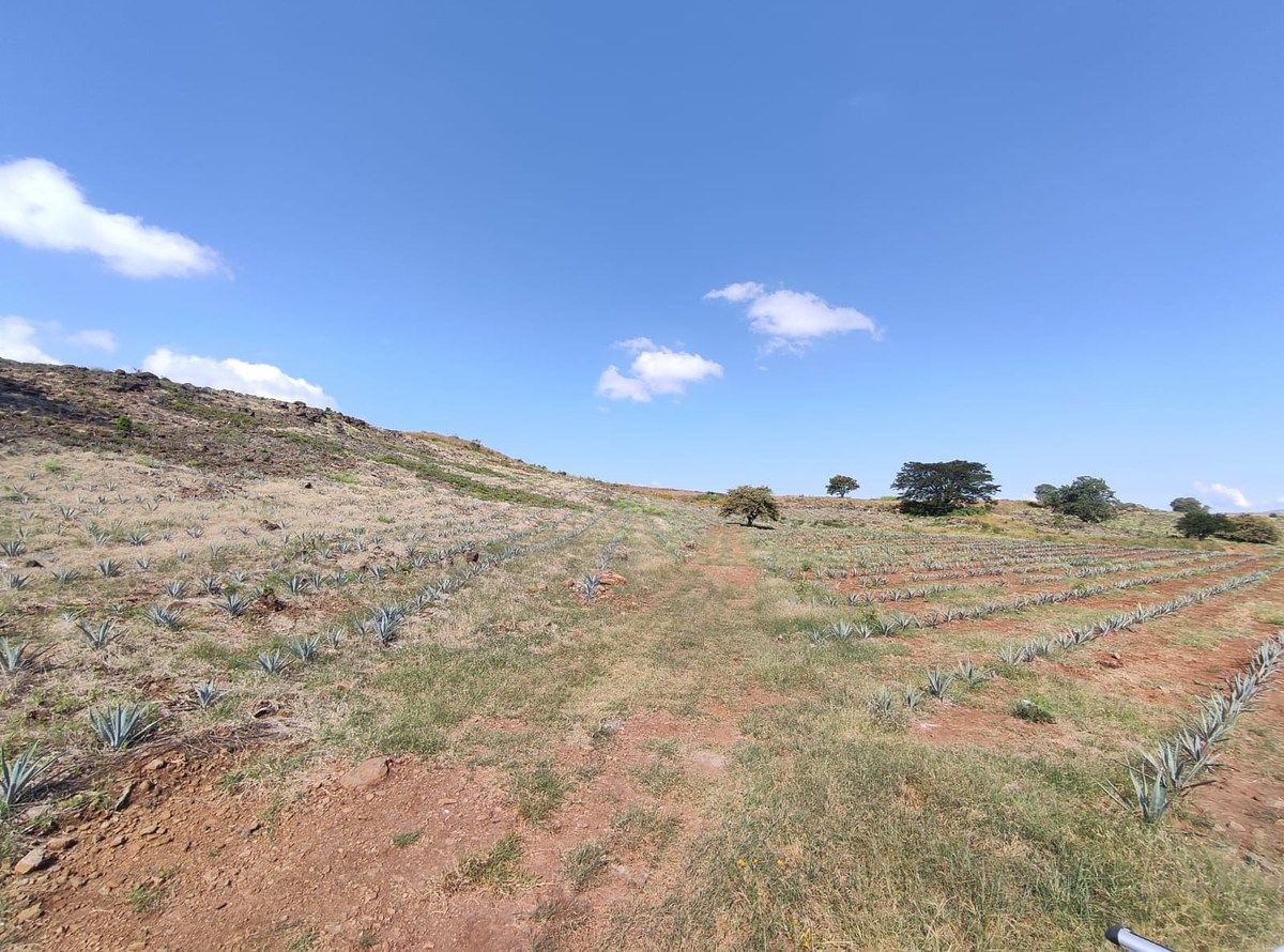 LAND FOR SALE in Amatitan, next to Los Gallos Garden - foto 1