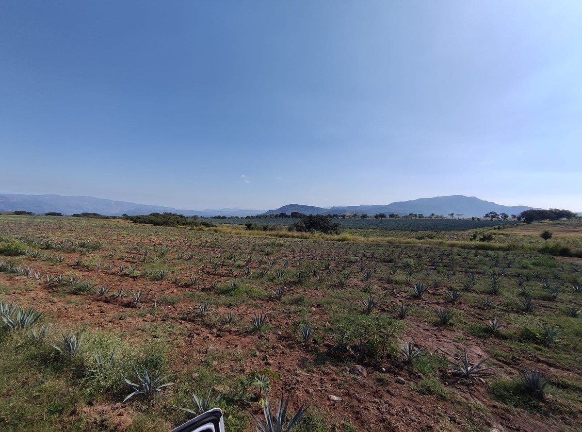 LAND FOR SALE in Amatitan, next to Los Gallos Garden - foto 5