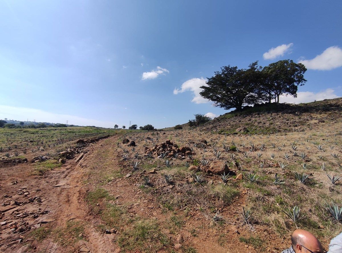 LAND FOR SALE in Amatitan, next to Los Gallos Garden - foto 3