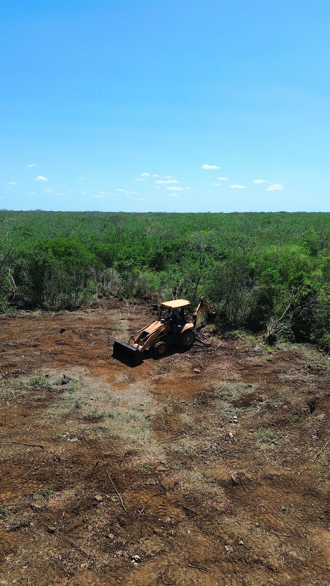 Lote em Pueblo Telchac, Telchac Pueblo, foto 4 de 11