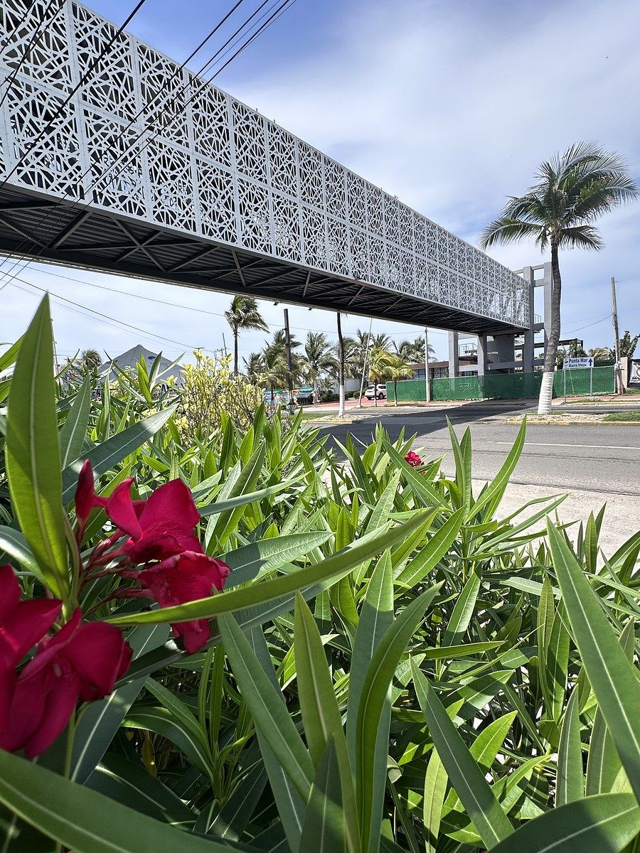 39 de 39: Puente privado