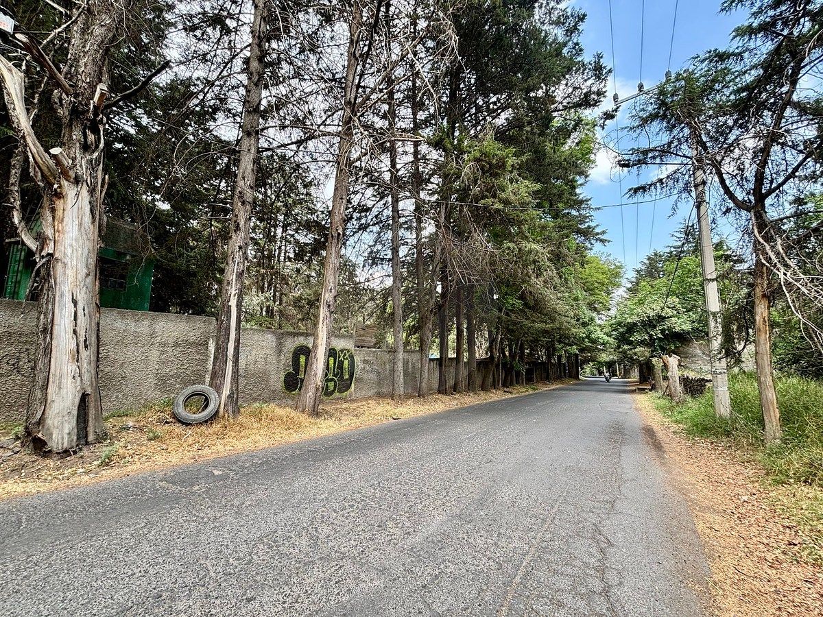 3 de 26