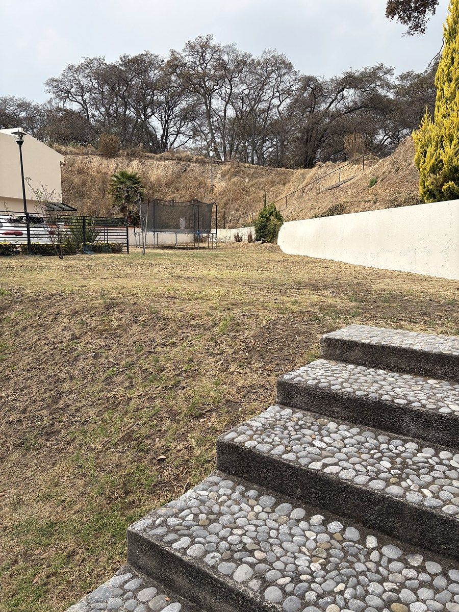 7 de 9