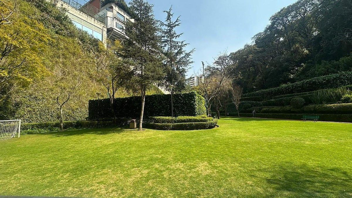 Departamento en Bosque de las Lomas, Miguel Hidalgo, foto 3 de 16