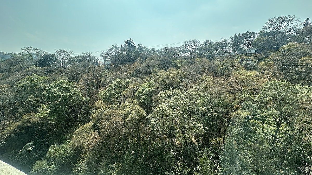 Departamento en Bosque de las Lomas, Miguel Hidalgo, foto 14 de 16