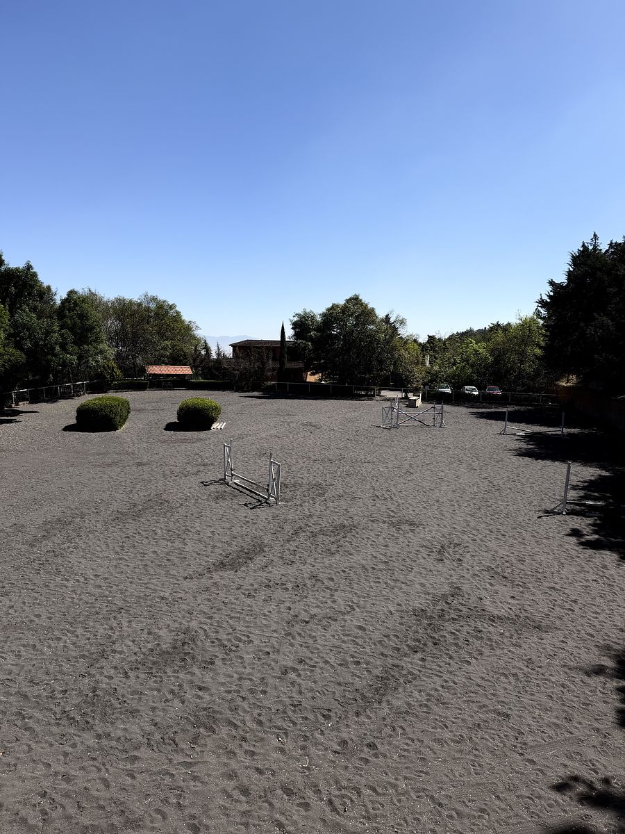 3 de 48: Pista de salto