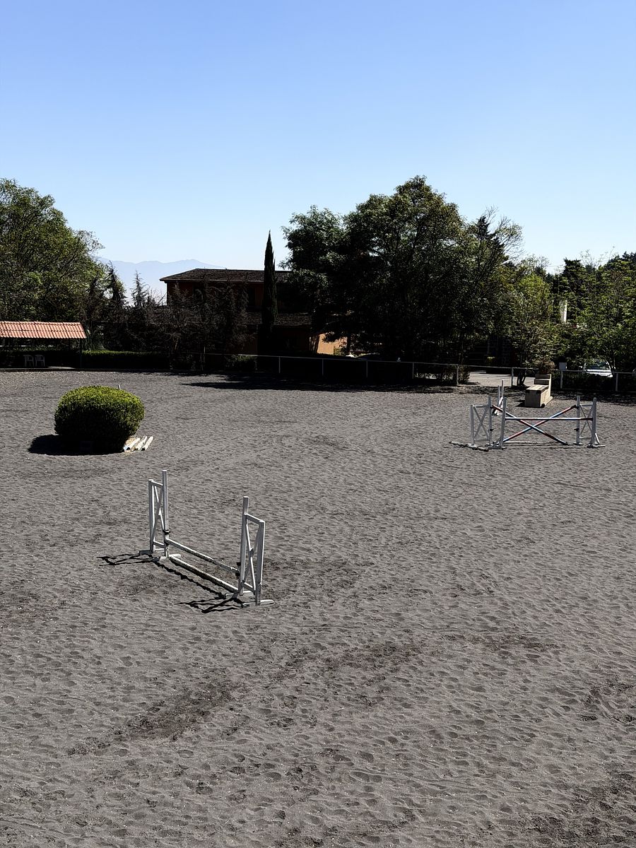 2 de 48: Pista de salto