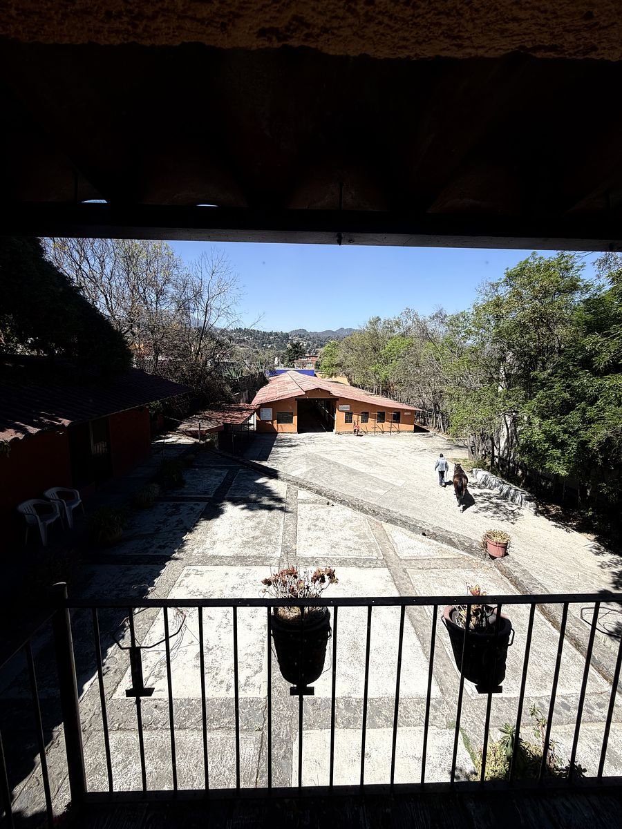 6 de 48: Caballerizas (40)