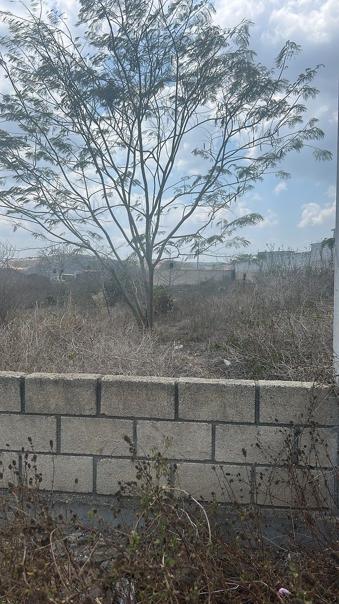 Terreno a la venta en Berriozábal, uso Mixto con todos los servicios!! - foto 1