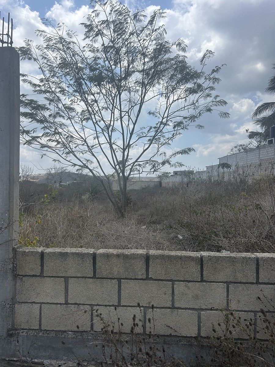 Terreno a la venta en Berriozábal, uso Mixto con todos los servicios!! - foto 3