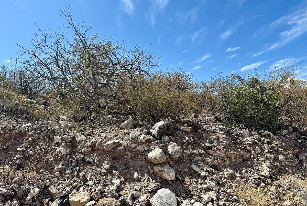 18 de 22: Vista frontal del lote desde la calle.