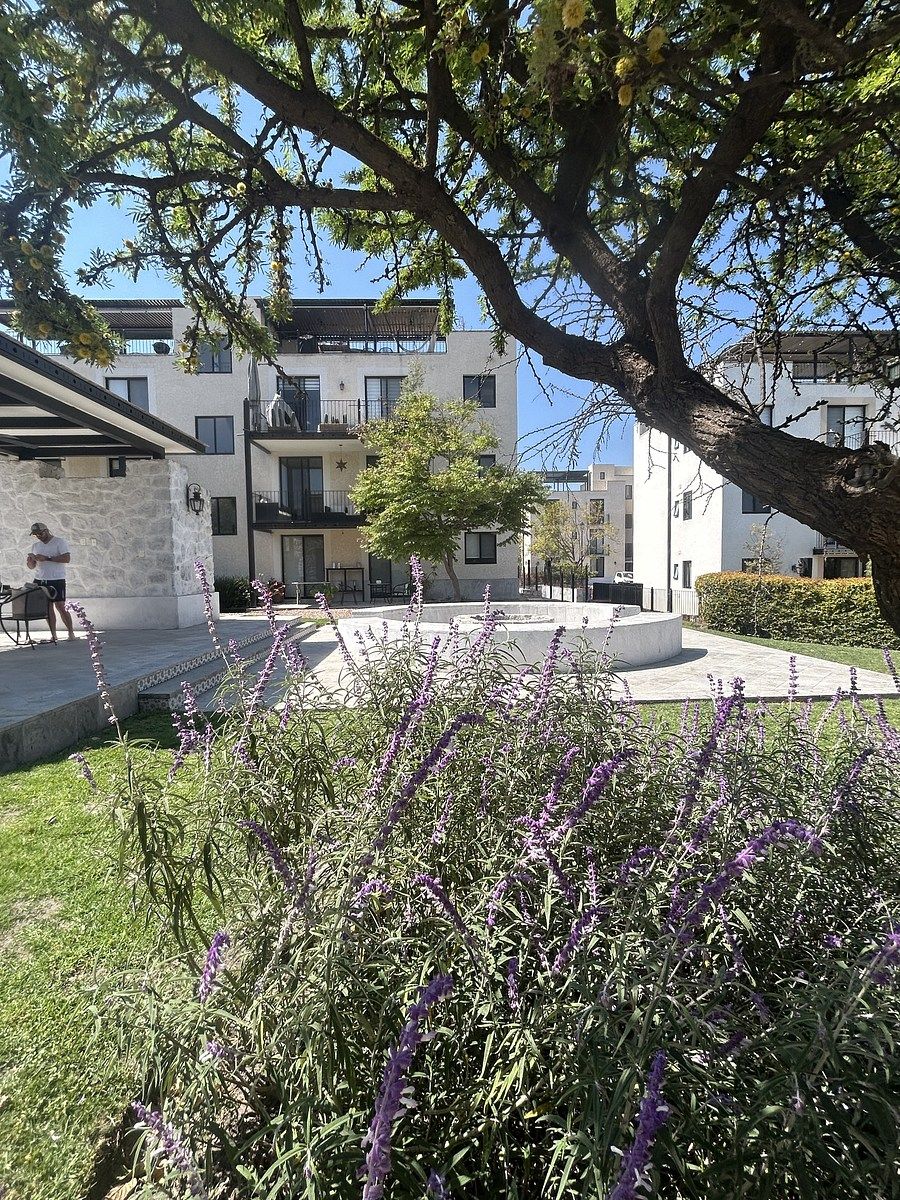 5 de 38: Rodeado de vegetación