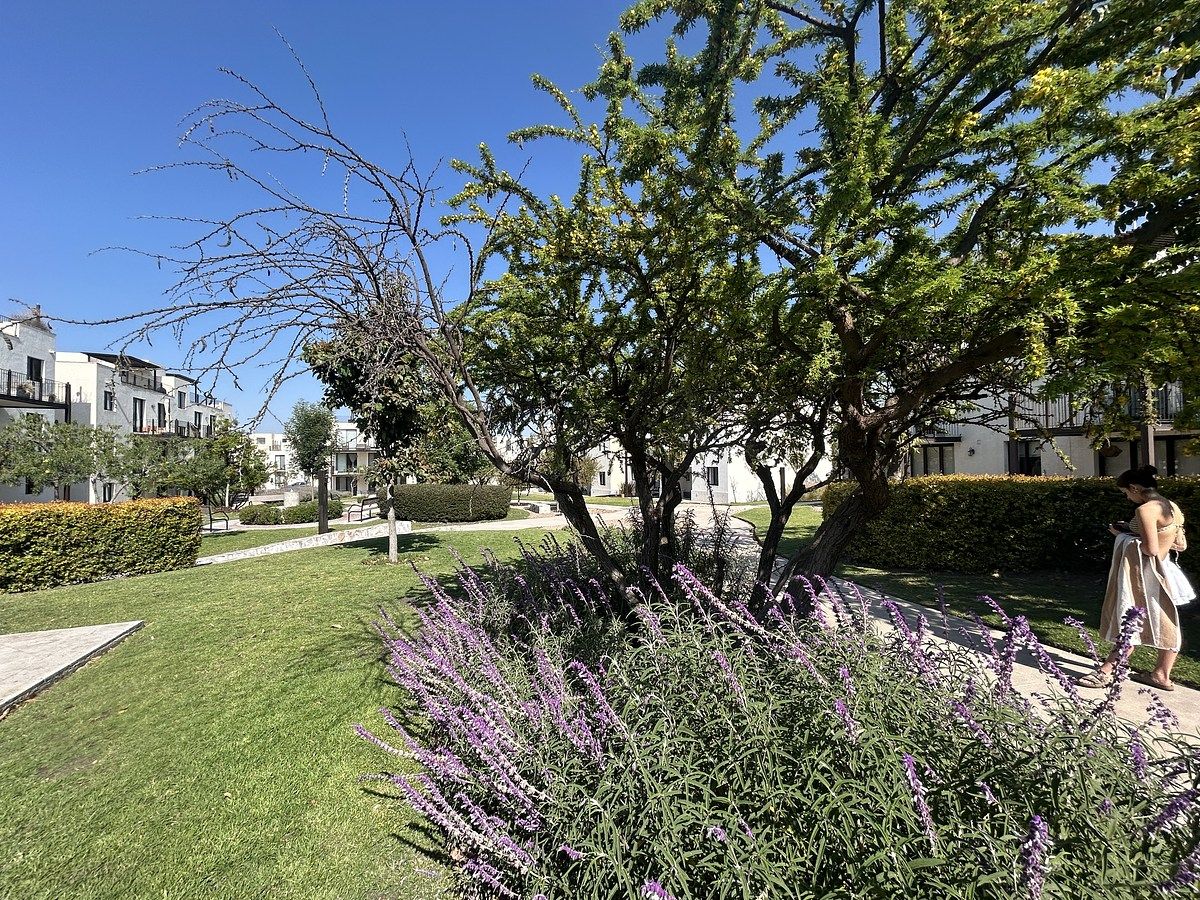 33 de 38: Hermosos caminos y andadores rodeados de naturaleza