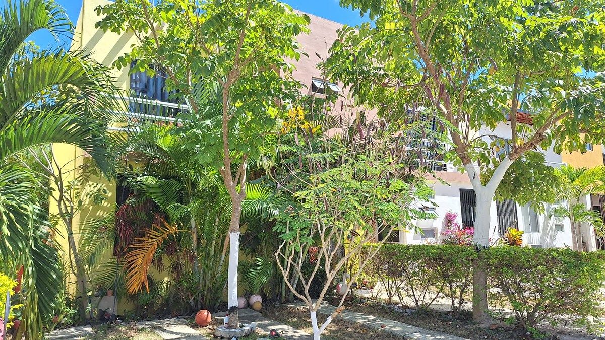 4 de 20: Fachada arbolada y lugar estacionam.