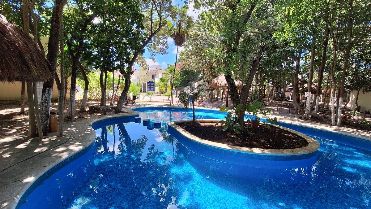 7 de 20: Alberca común