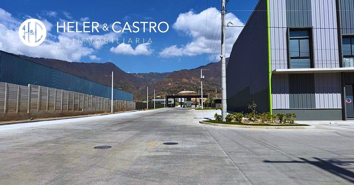 10 de 11