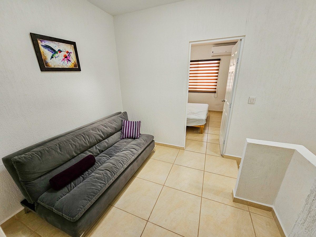 11 of 28: Planta alta