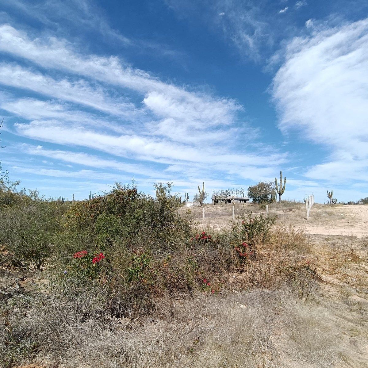 1 de 6: Terreno en esquina