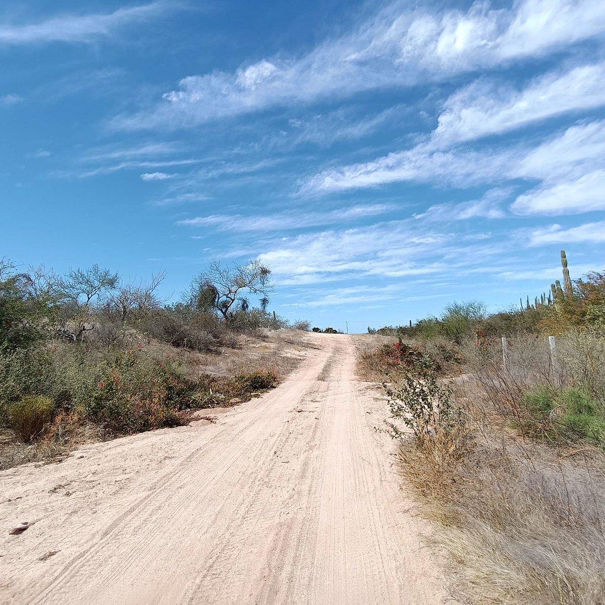 3 de 6: 30.12 de Frente